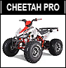 Tao Motor Cheetah Pro