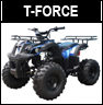 Tao Motor TForce