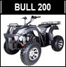 Tao Motor Bull 200
