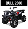 Tao Motor Bull 200S