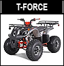 Tao Motor T-Force